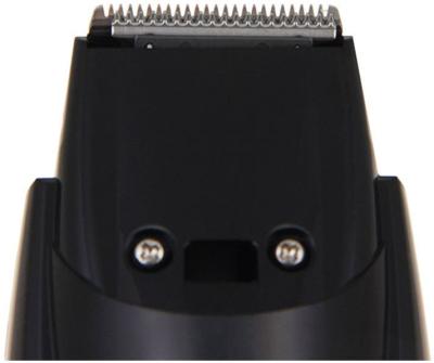 Триммер PANASONIC ER-GB42-K520 черный