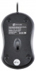 Мышь OKLICK 115S черный оптическая (800dpi) USB для ноутбука